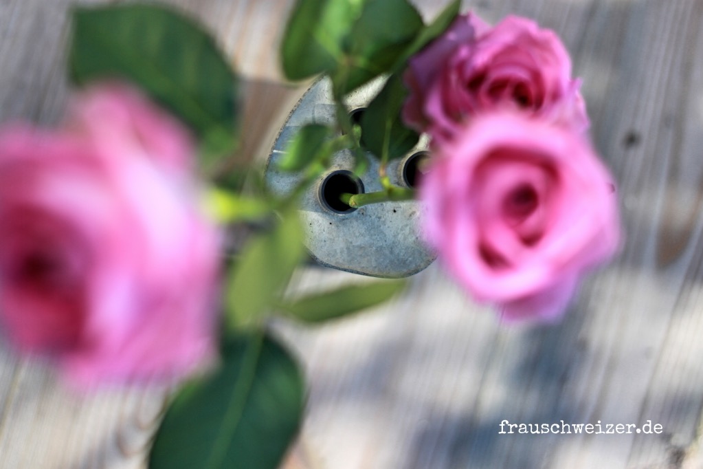 beton - Vase von oben mit Rosen