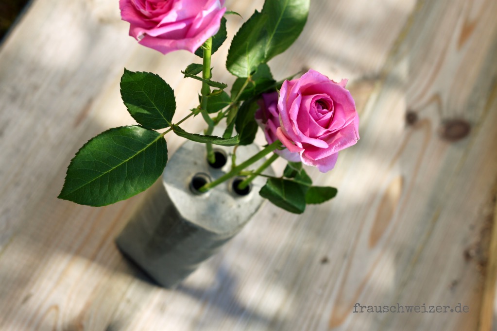 beton- vase mit Rose