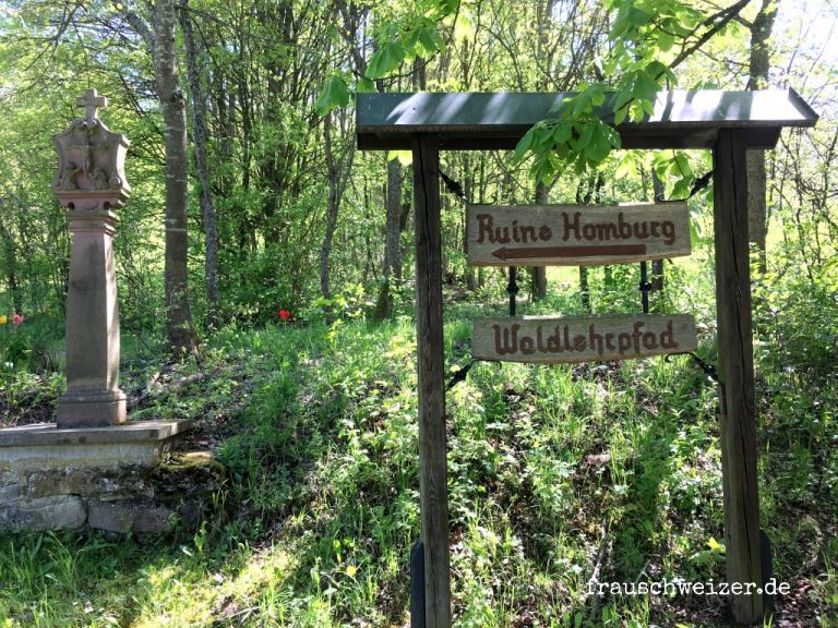 Wandern-Bad Homburg-Main-Spessart