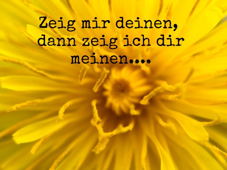 Blogparade-Zeig-mir-deinen