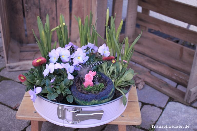 Fruelingsgeschenk-springform-kreative-idee