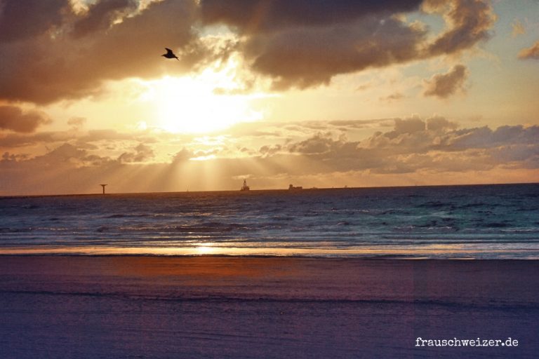 Musik-Urlaub-Playliste-Songs