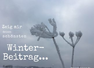 Blogparade-winterbeitrag