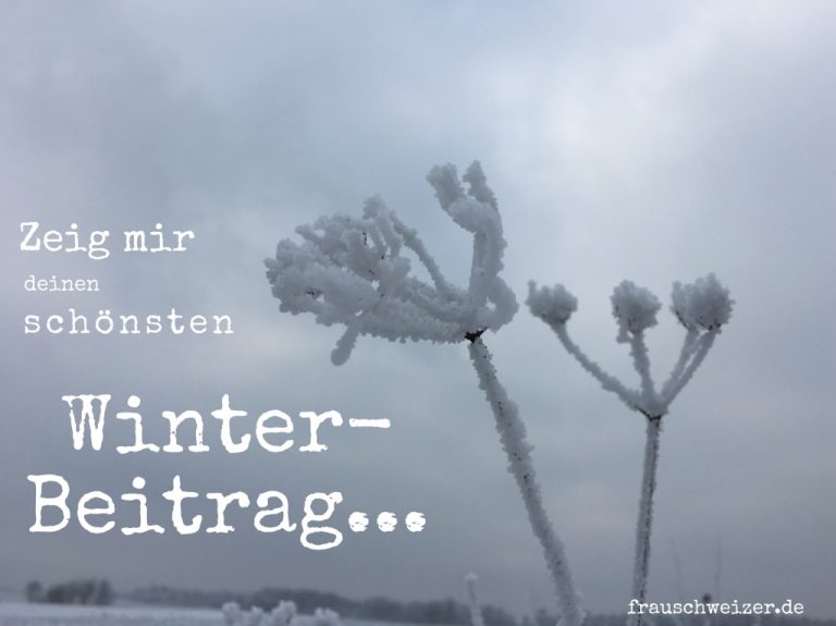 Blogparade-winterbeitrag