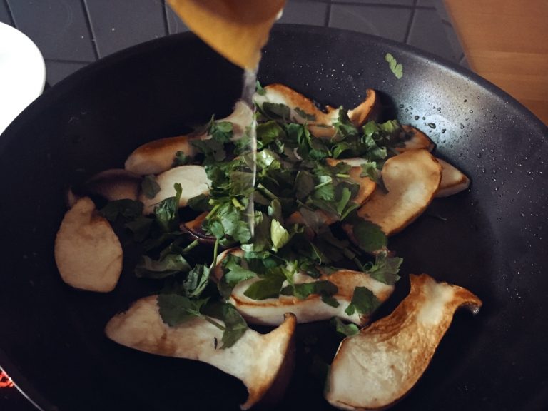 Frauschweizers12von12-februar-2019