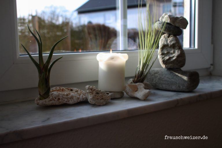 Steindeko-Fensterdeko-Tillandsien