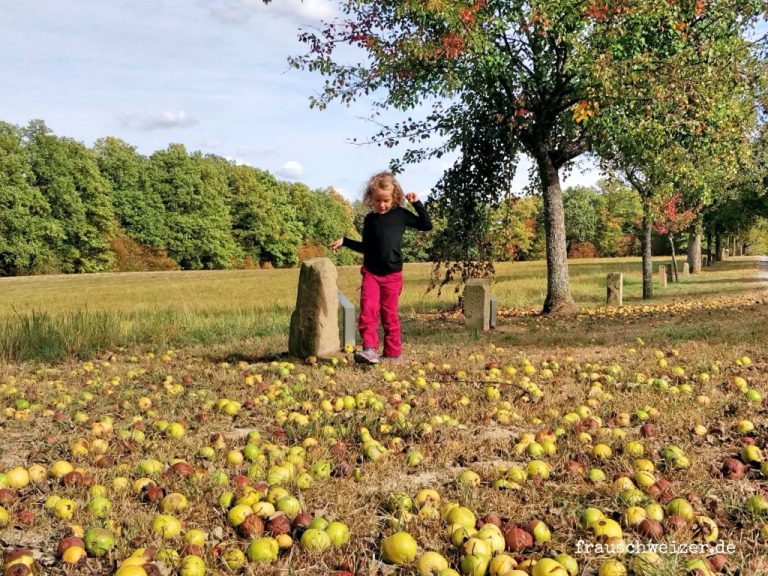 sonntagsspaziergang-am-grenzsteinpfad-Kleingartach