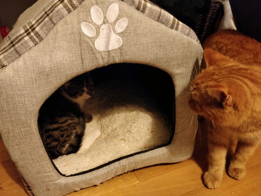 12von12 im Dezember 20 – Nachwuchs kündigt sich an